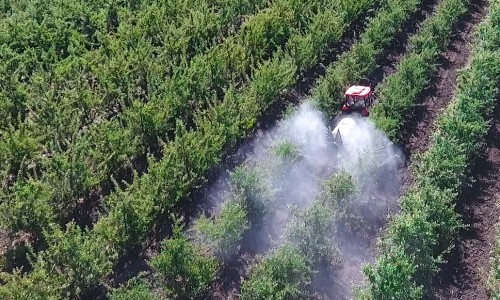 Masina de stropit OPV-2A - Image 3